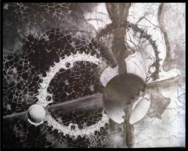 Diálogos internos 2